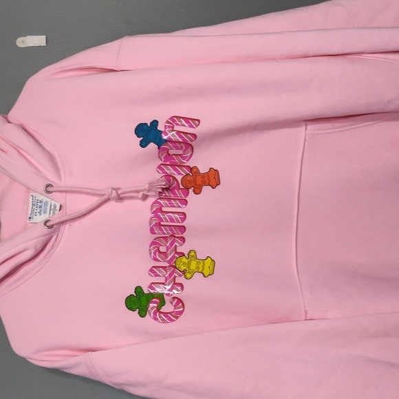 CHAMPION X CANDY LAND COLAB EXCLUSIVE “HERITAGE” PULLOVER HOODIE 2x - Picture 1 of 11